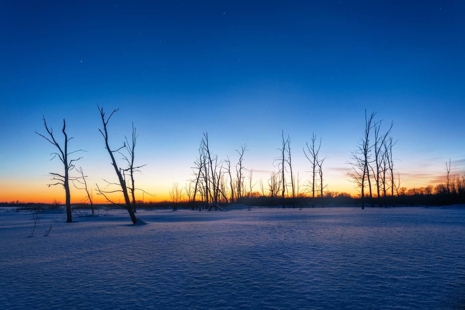 , Lozhkin Vyacheslav