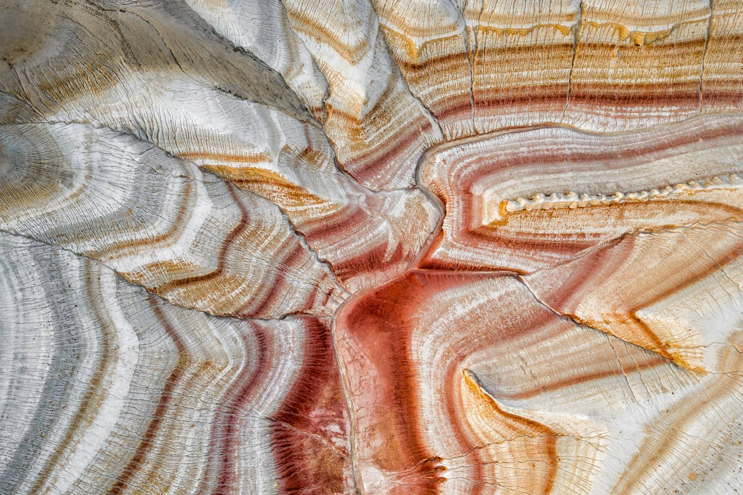 , Михаил Харитонычев