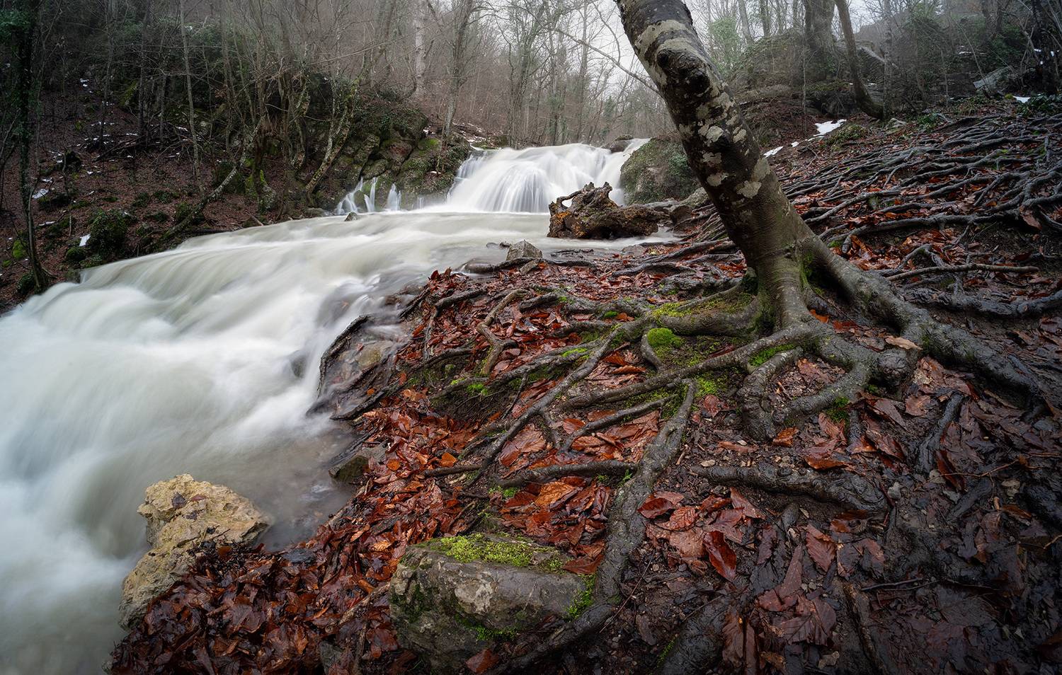 , Андрей Родионов