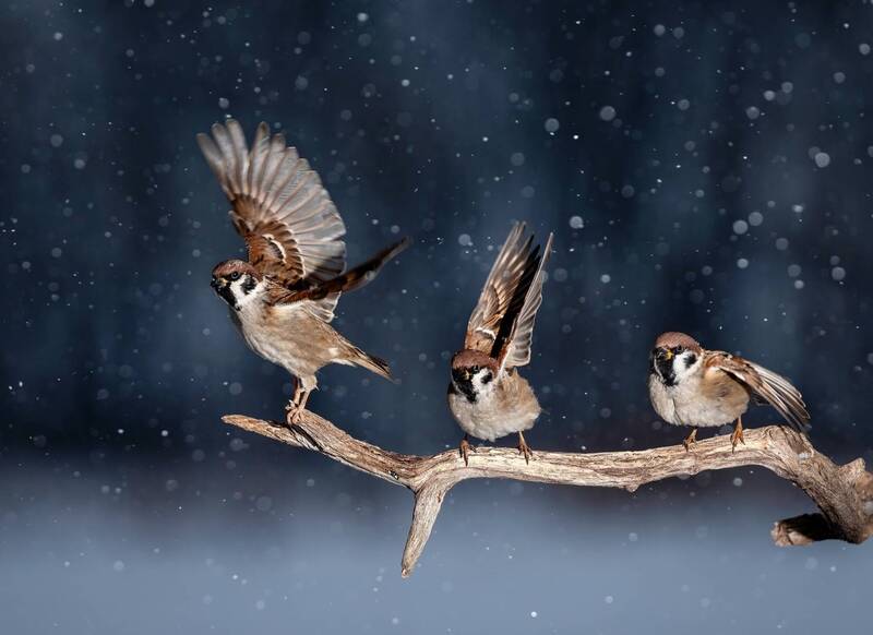 На взлет фото превью