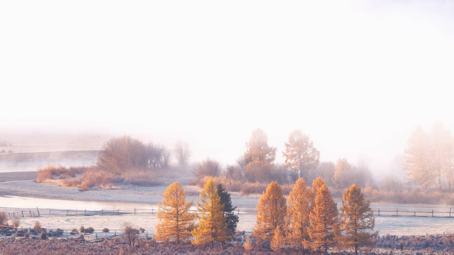 , Морозов Сергей