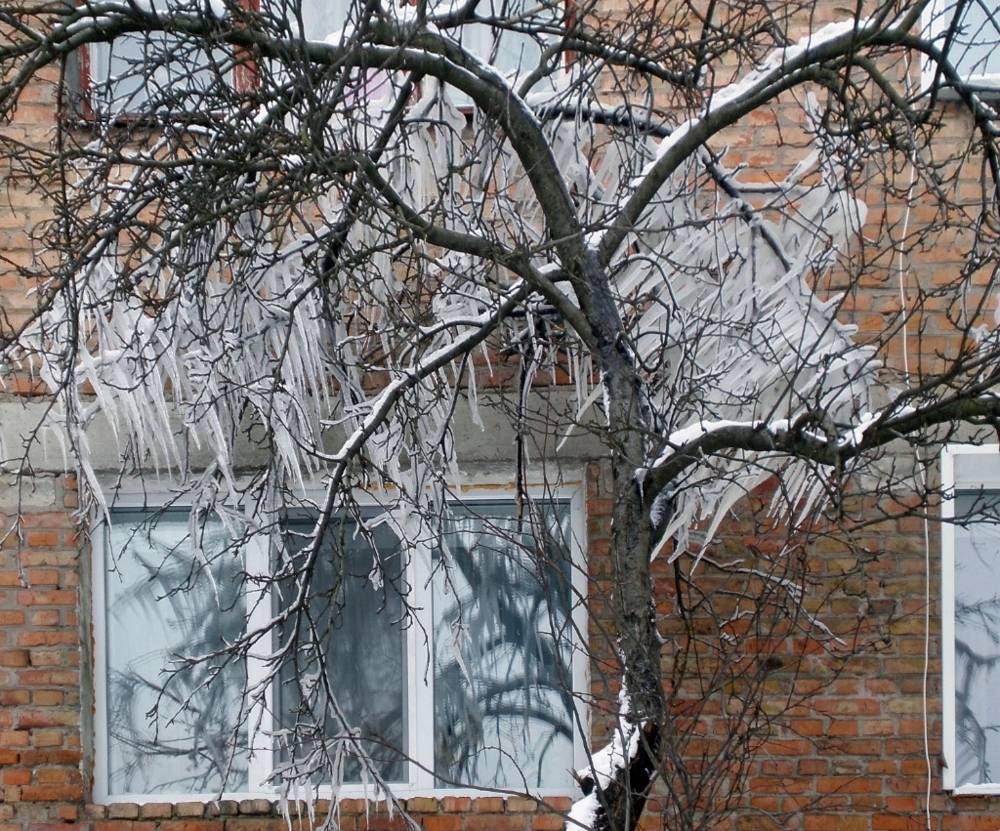 , Савоцкий Роман