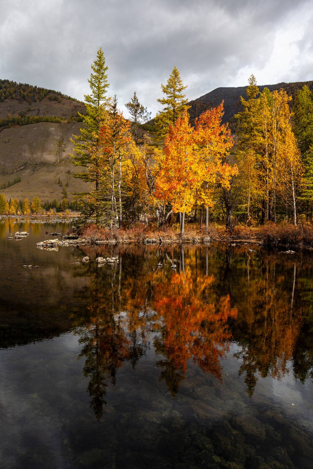 долина, лавовых, озер., жамболок., шарза., лес., отражение., прозрачная, чистая, вода., бурятия., окинский, район., осень., яркие, краски, Виктор Калинский