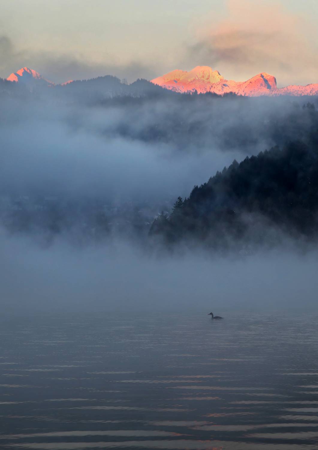 озеро, туман, lake, fog, Mikhail Konarev