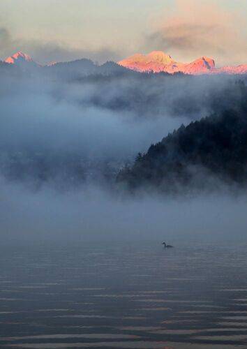 Утро на озере