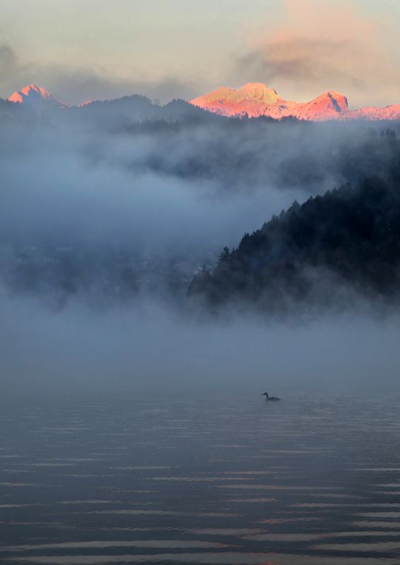озеро, туман, lake, fog Утро на озере фото превью