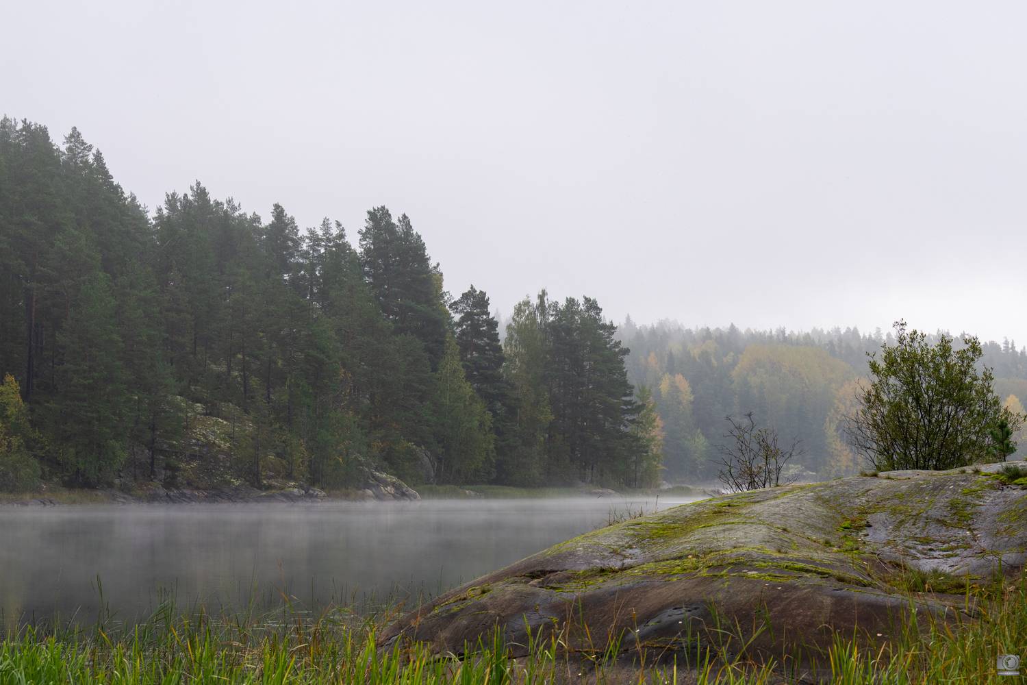 карелия, Дмитрий Ковалев