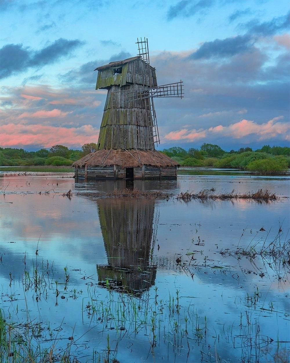 , Петр Косых