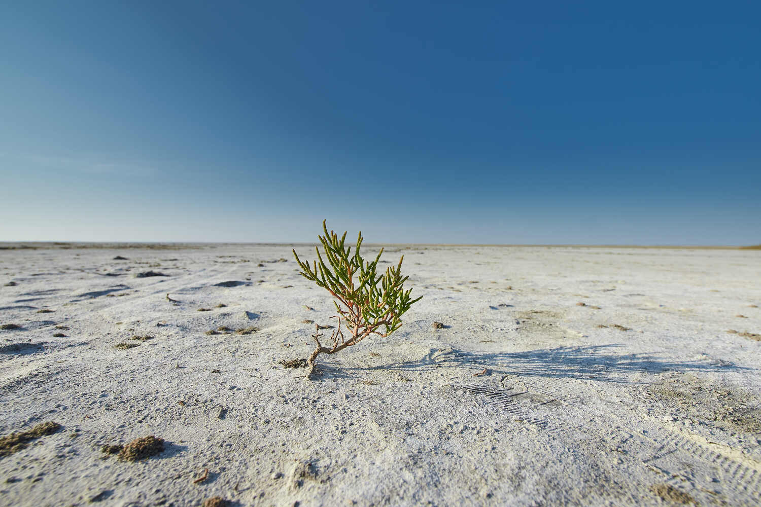 эльтон, волгоградская область, Павел Сторчилов