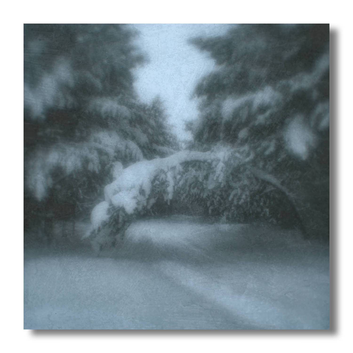 пикториализм, монокль, арт фотография, художественная фотография, пикториальный пейзаж, пикториальная фотография, русский пикториализм, современный пикториализм, Ефимов Андрей