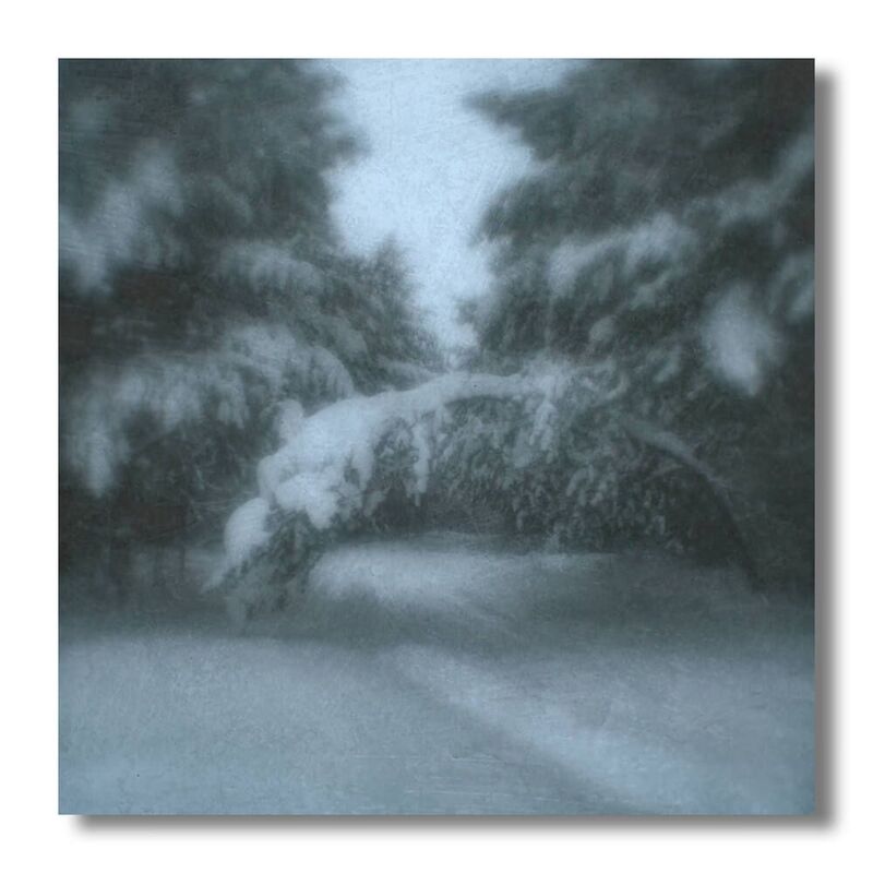 пикториализм, монокль, арт фотография, художественная фотография, пикториальный пейзаж, пикториальная фотография, русский пикториализм, современный пикториализм В лесу после метели, январь 2026. фото превью