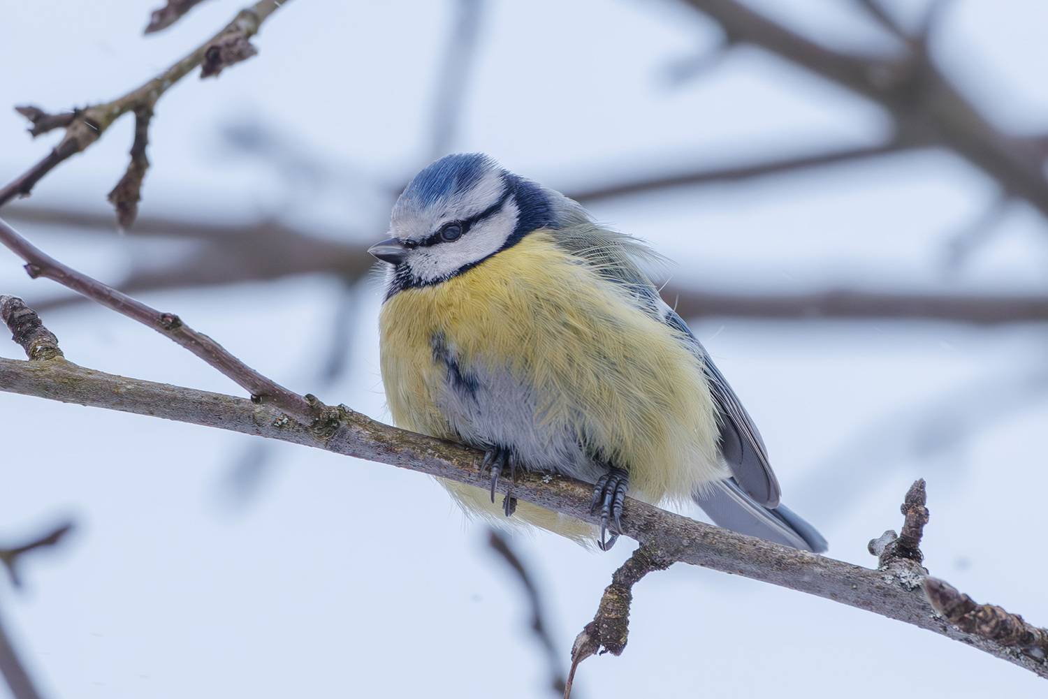, Морозов Сергей