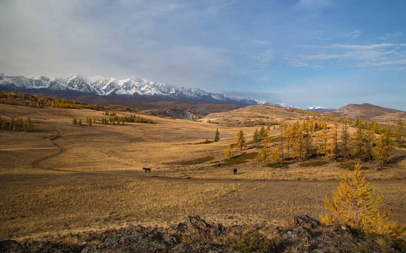 Курайская осень фото превью