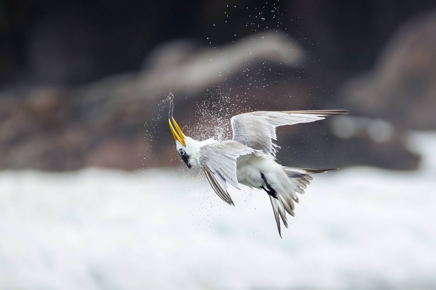 , ssmirs Сергей