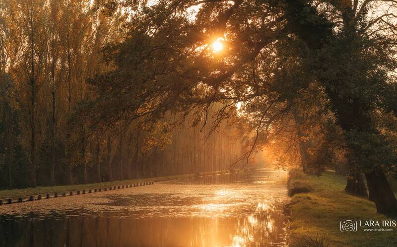 Дыхание осени фото превью