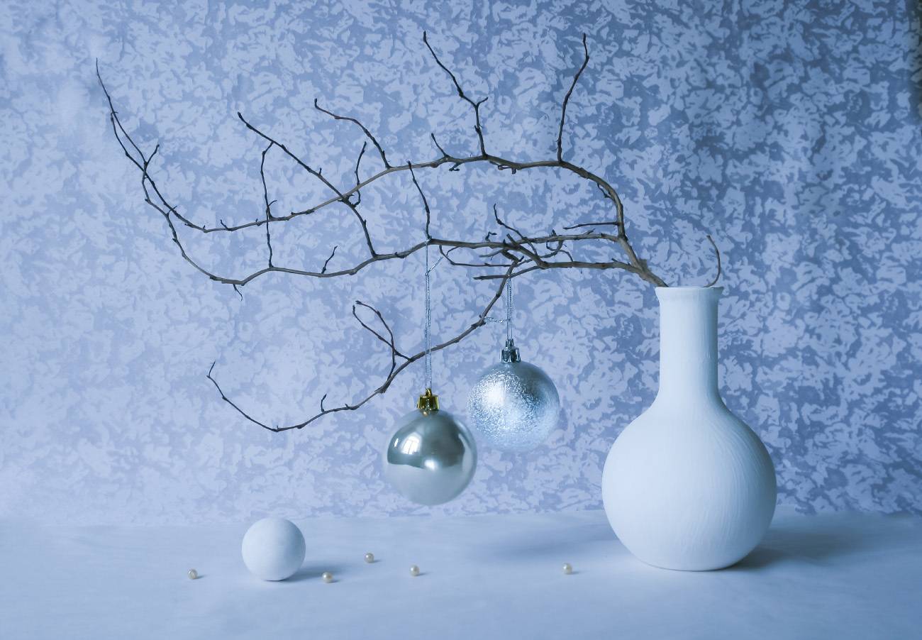 , Колеснева Елена