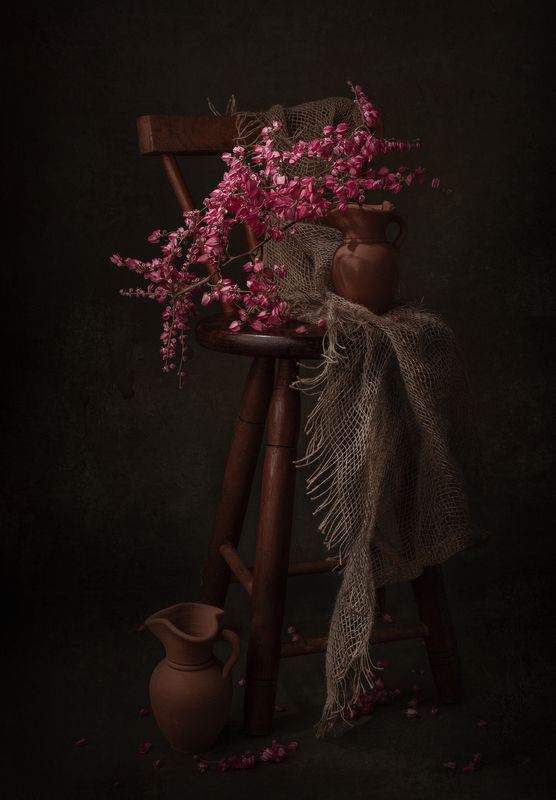 Still life, flower, pink, light, shadow, texture A color in the darkness! фото превью
