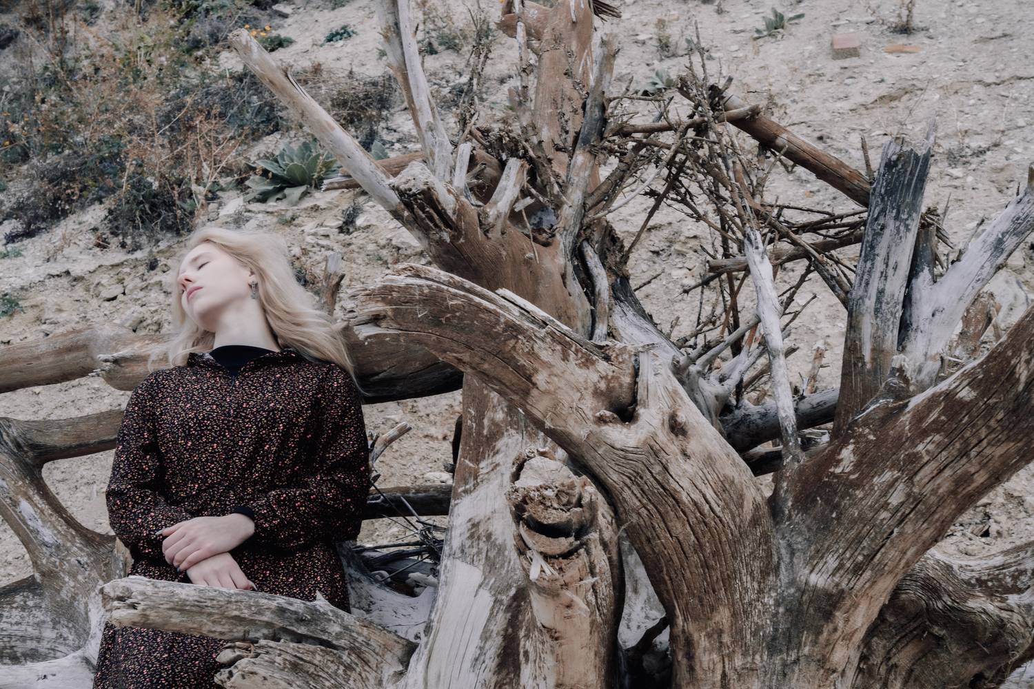 коряга, сон, берег, дерево, спящая, девушка, закрытыте, глаза, Елена Леонидовна