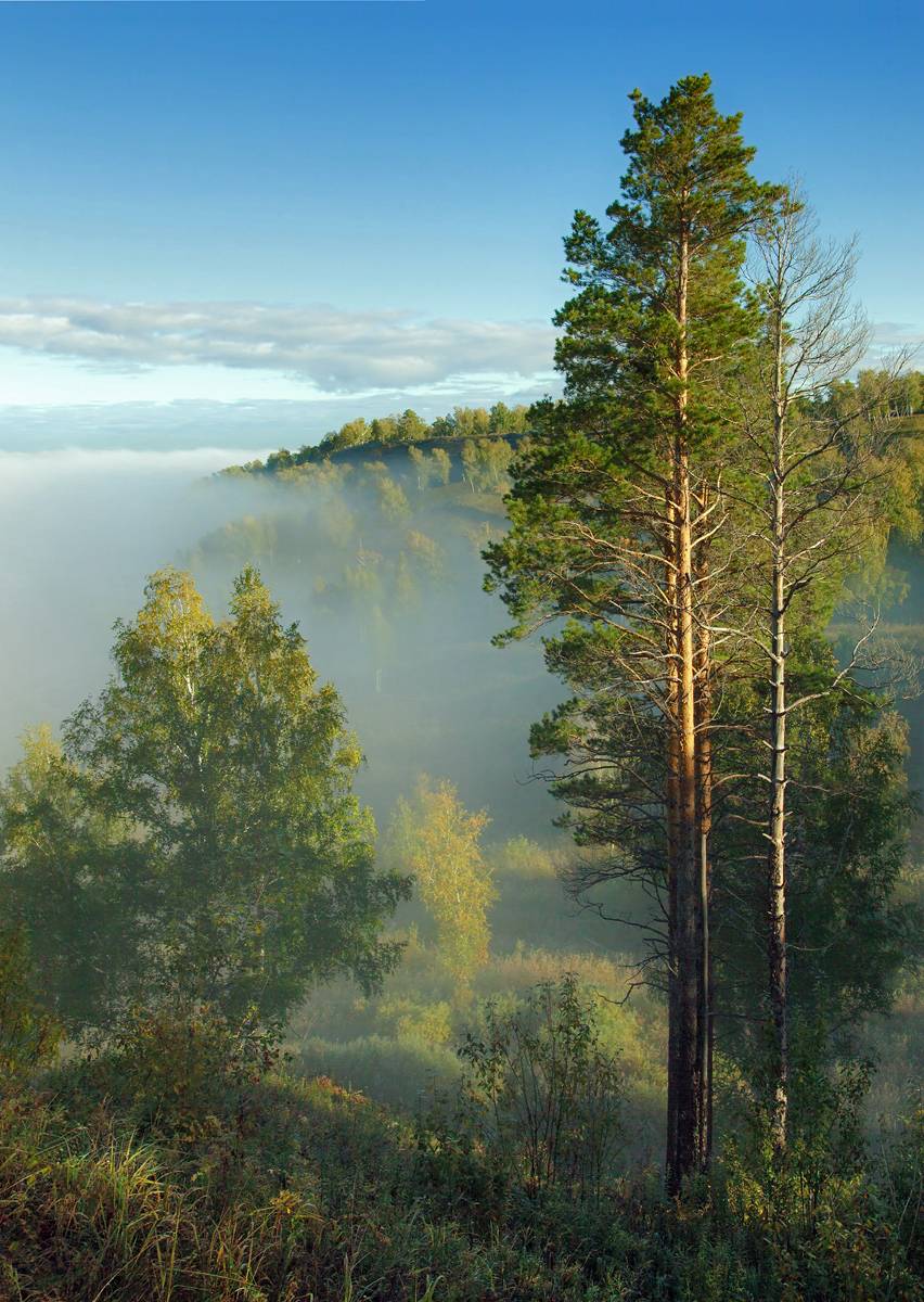 , Алексей Хахлов