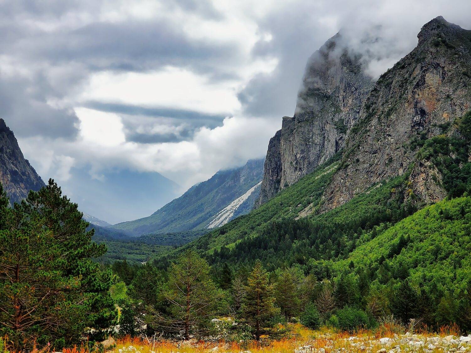, Александр Филатов