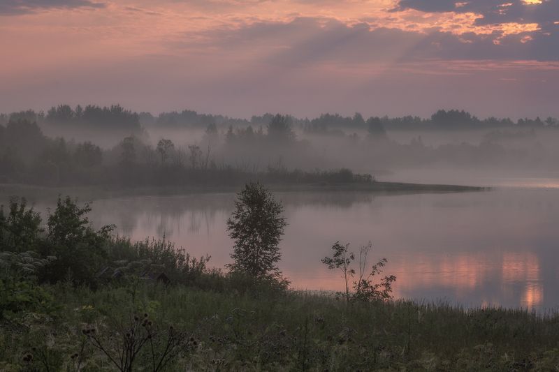 Тверская, область  фото превью