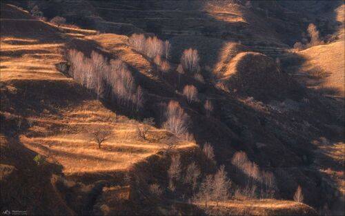 МЕЖСЕЗОНЬЕ