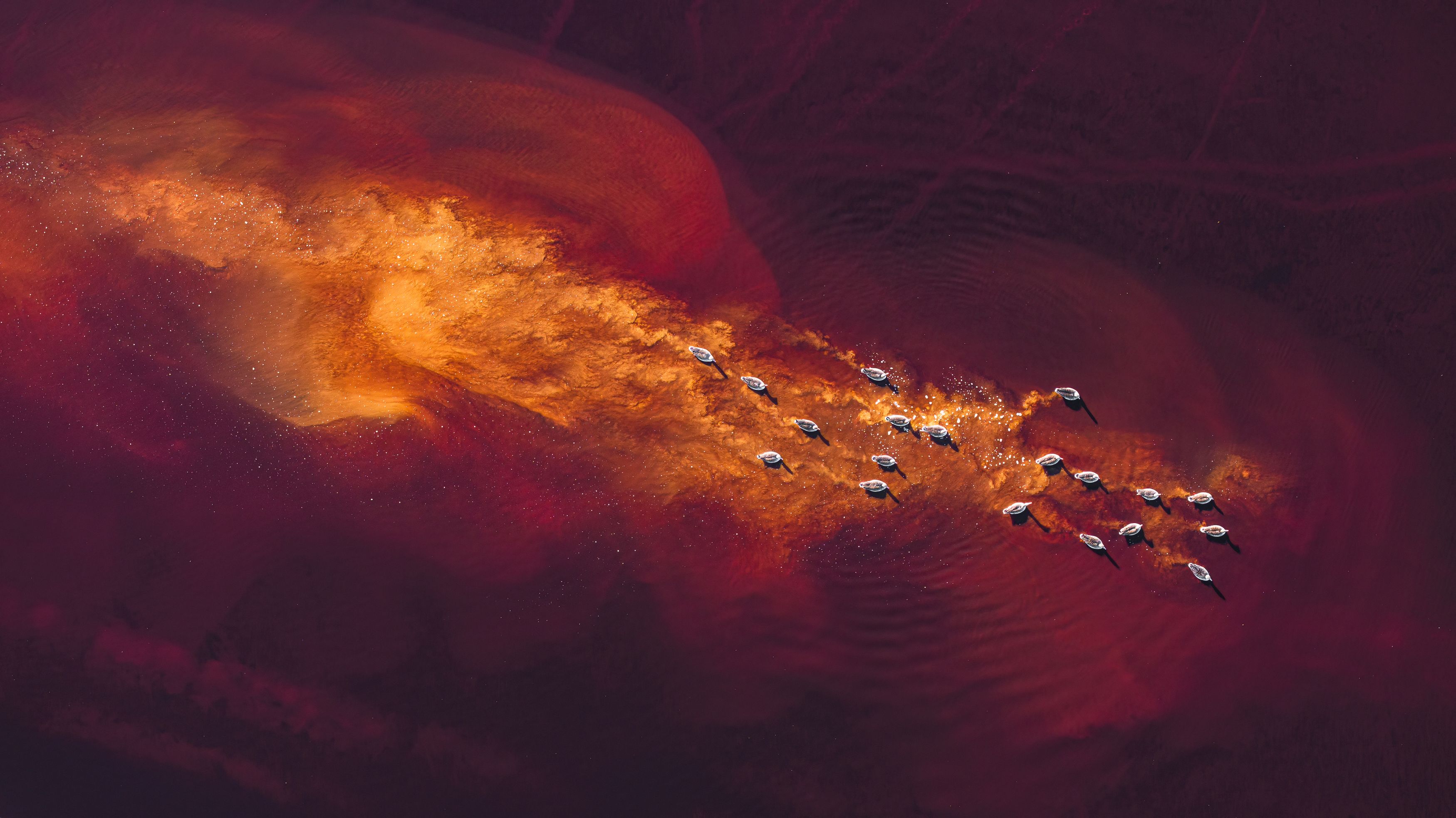 Fire фото превью