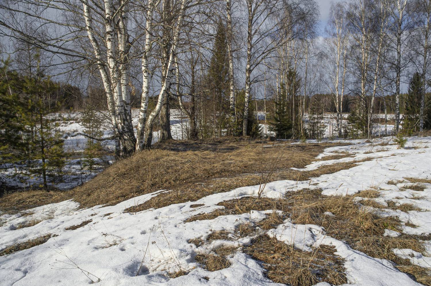 , Шитов Александр