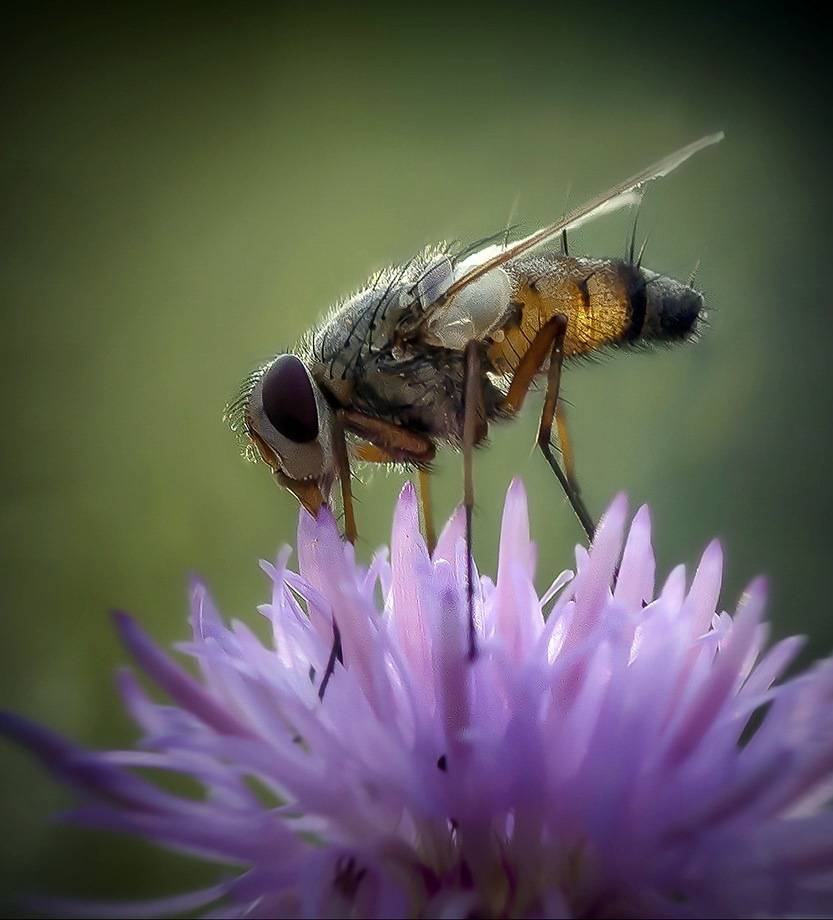 , Сергей Аникин