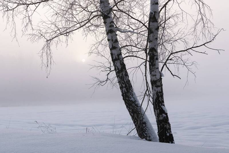 Зимний рассвет фото превью