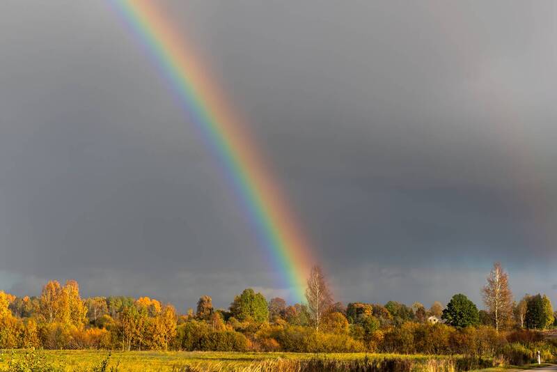 Радуга фото превью
