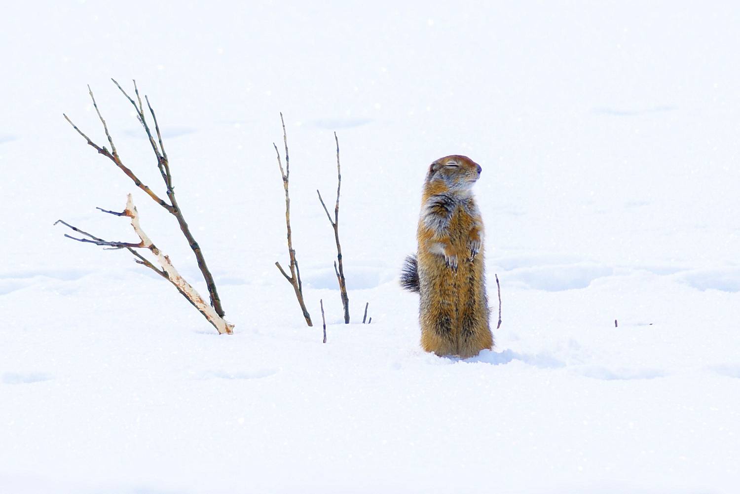 , Андрей Загребельный