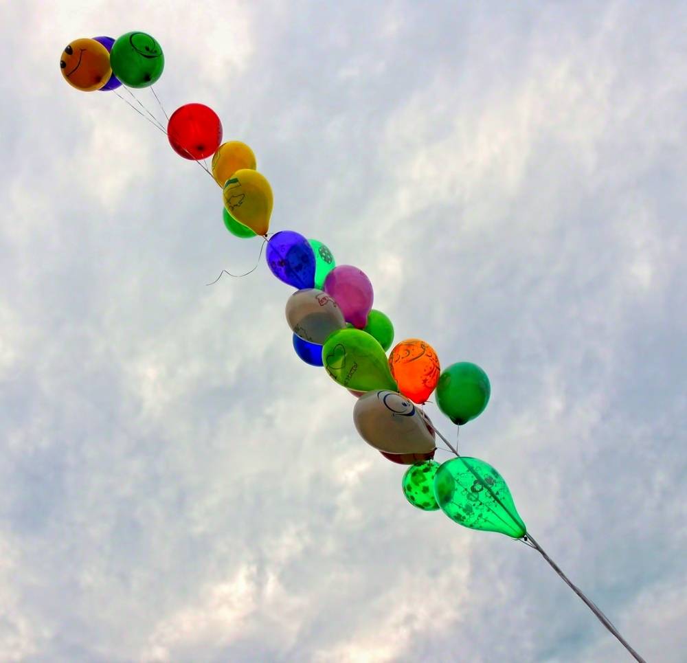 , Савоцкий Роман