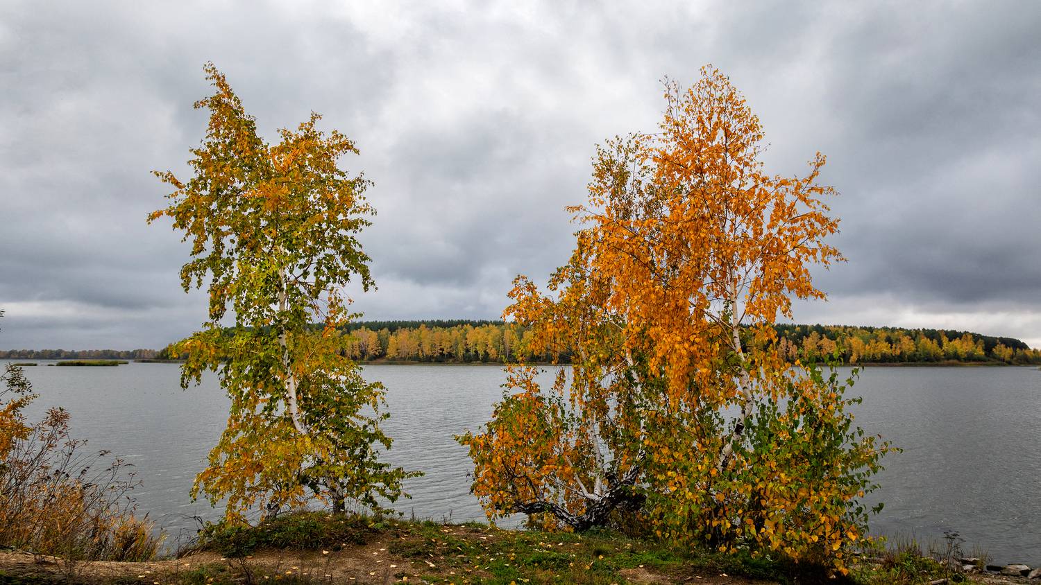 , Ушаков Валерий