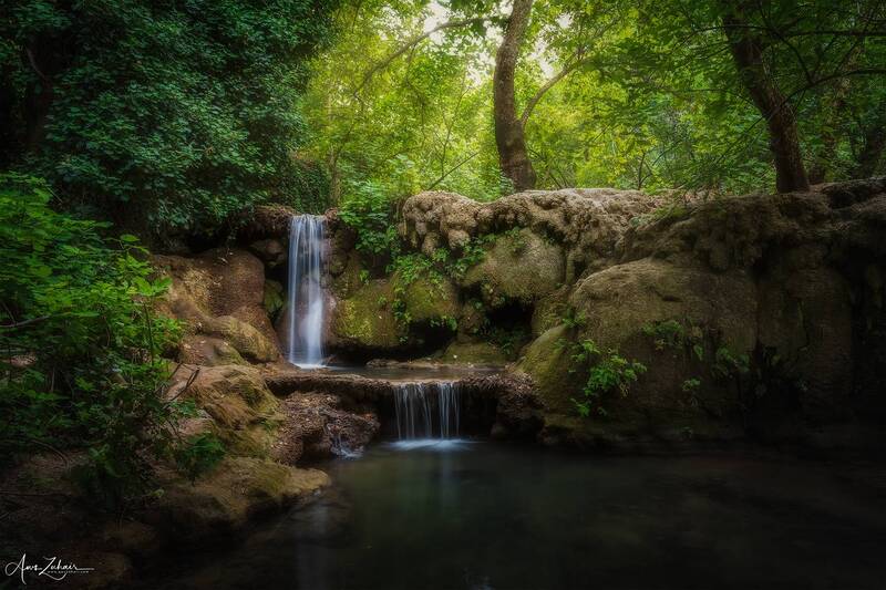 Zoragvan фото превью