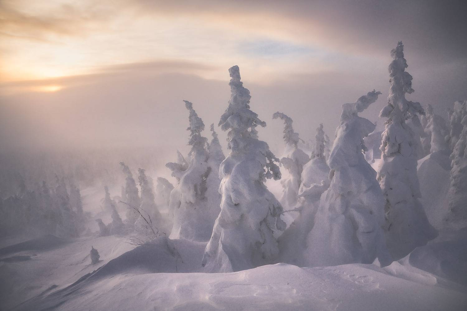 гух, зима, Владимир Ляпин