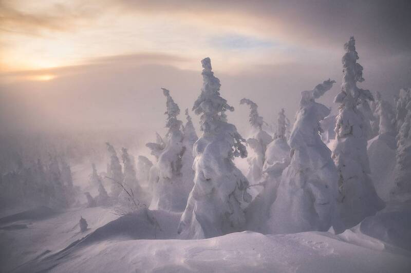 Метель фото превью