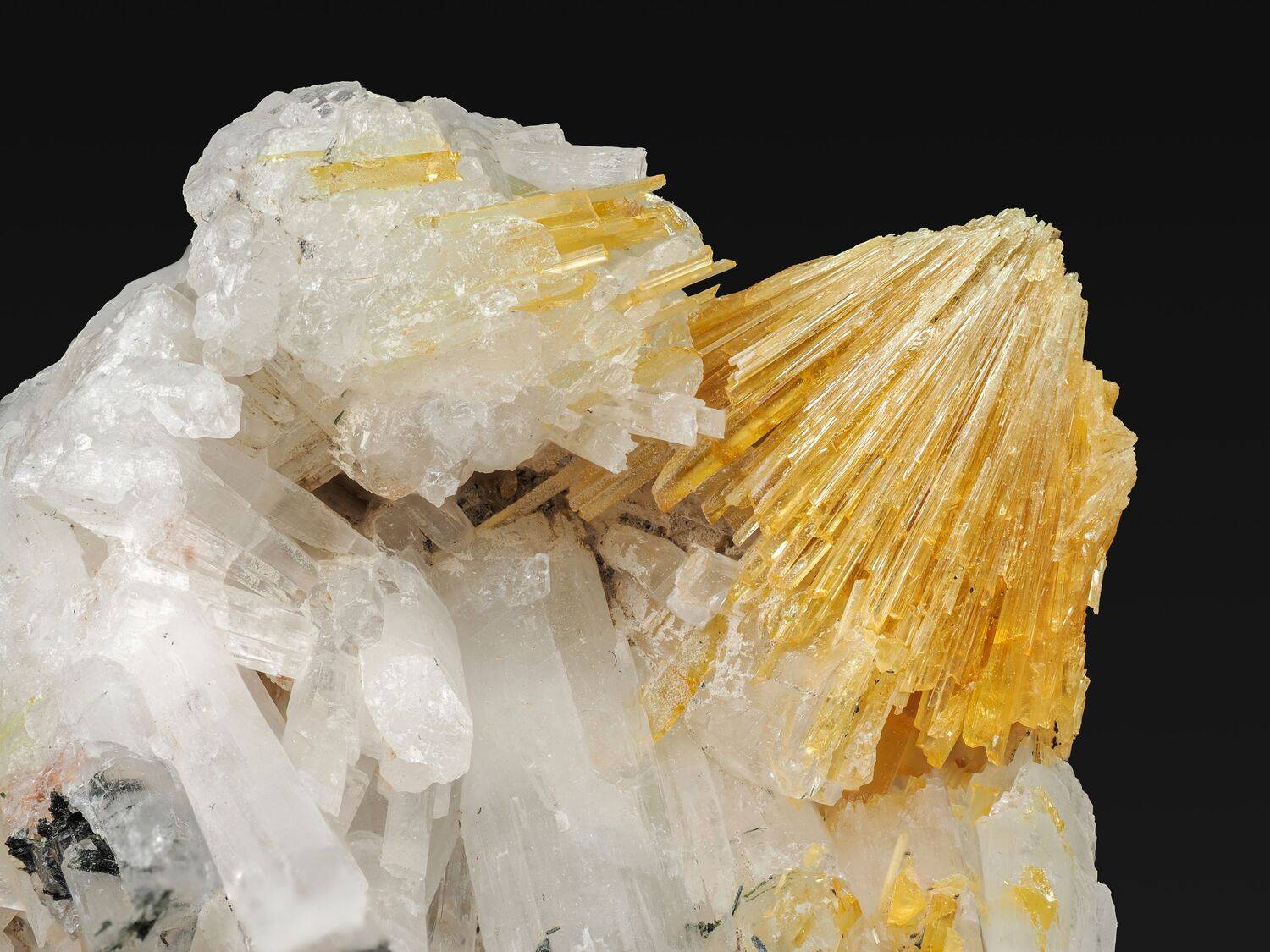 макро, минералогия, минерал, титанит, Глеб Коровко