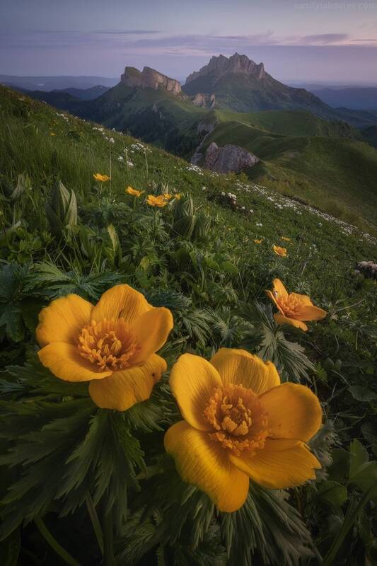 тхач, большой тхач, фототур, яковлевфототур, кавказ, адыгея Большой Тхач фото превью