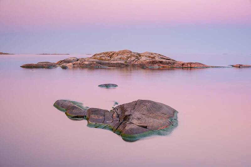 Розовое безмолвие фото превью