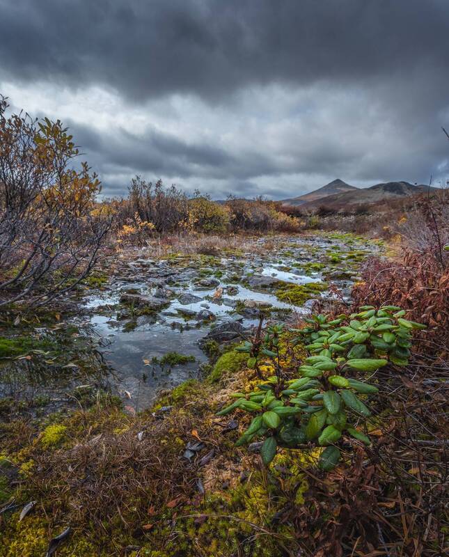 Чукотка. фото превью