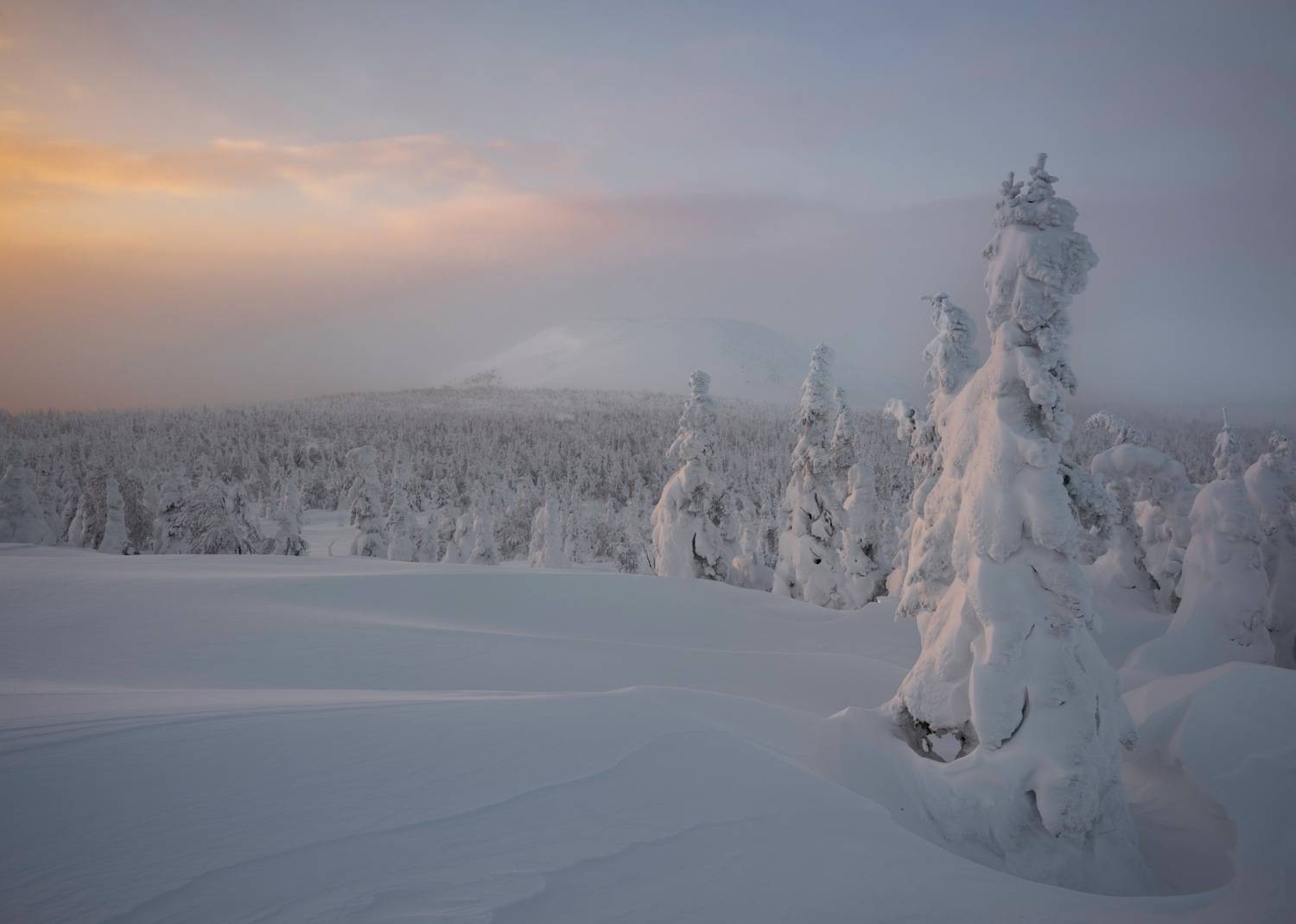 , Ширгин Сергей