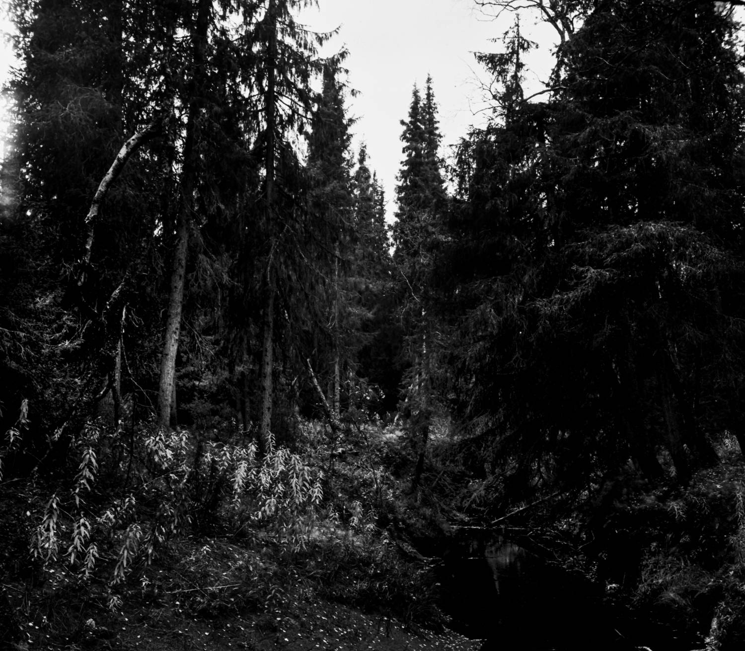 пленка, нарьян-мар, seagull4b, lucky400, Чобот Василий