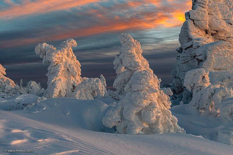 шерегеш, скалы, верблюды, снег, иней, надувы, пихты, кедры, вечер, закат, гора курган, горная шория, мороз, зима, сибирь Магия Заката фото превью