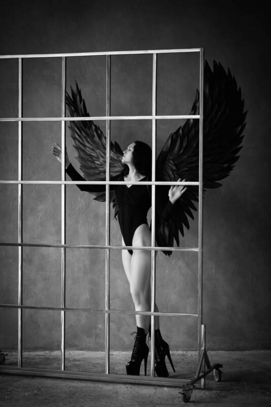 Sibyl Obscure фото превью