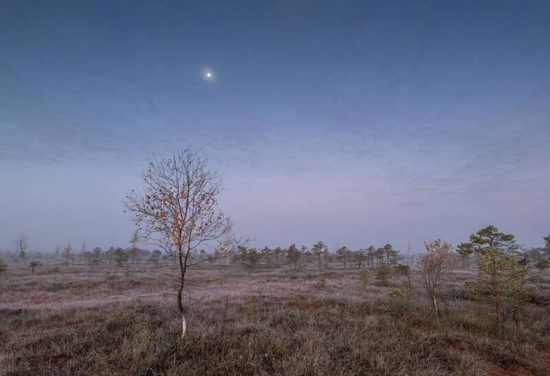 Mystique morning фото превью