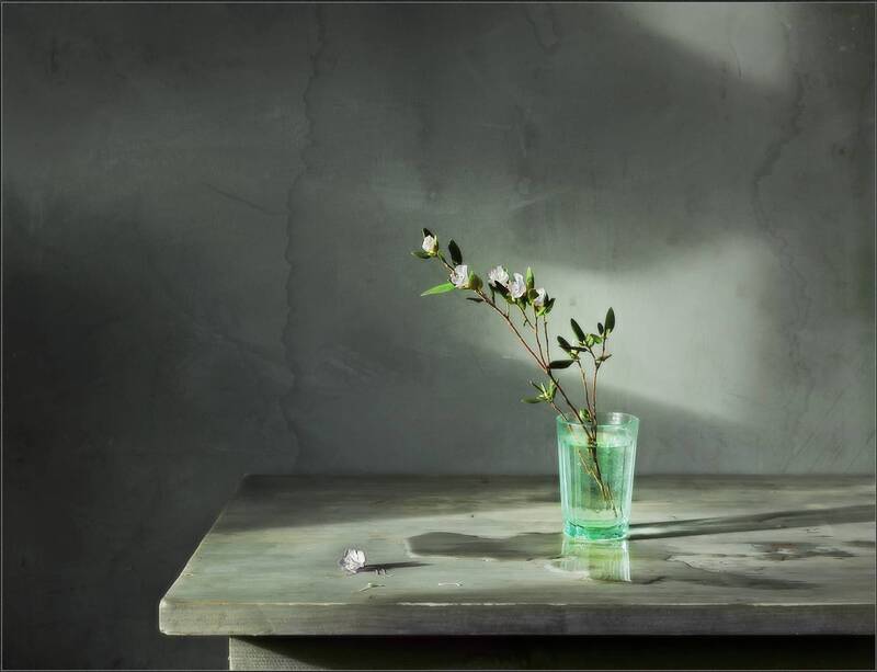 Багульник фото превью