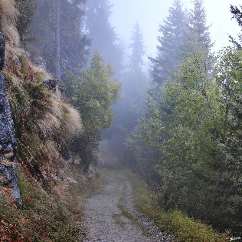 swiss Дороги... фото превью