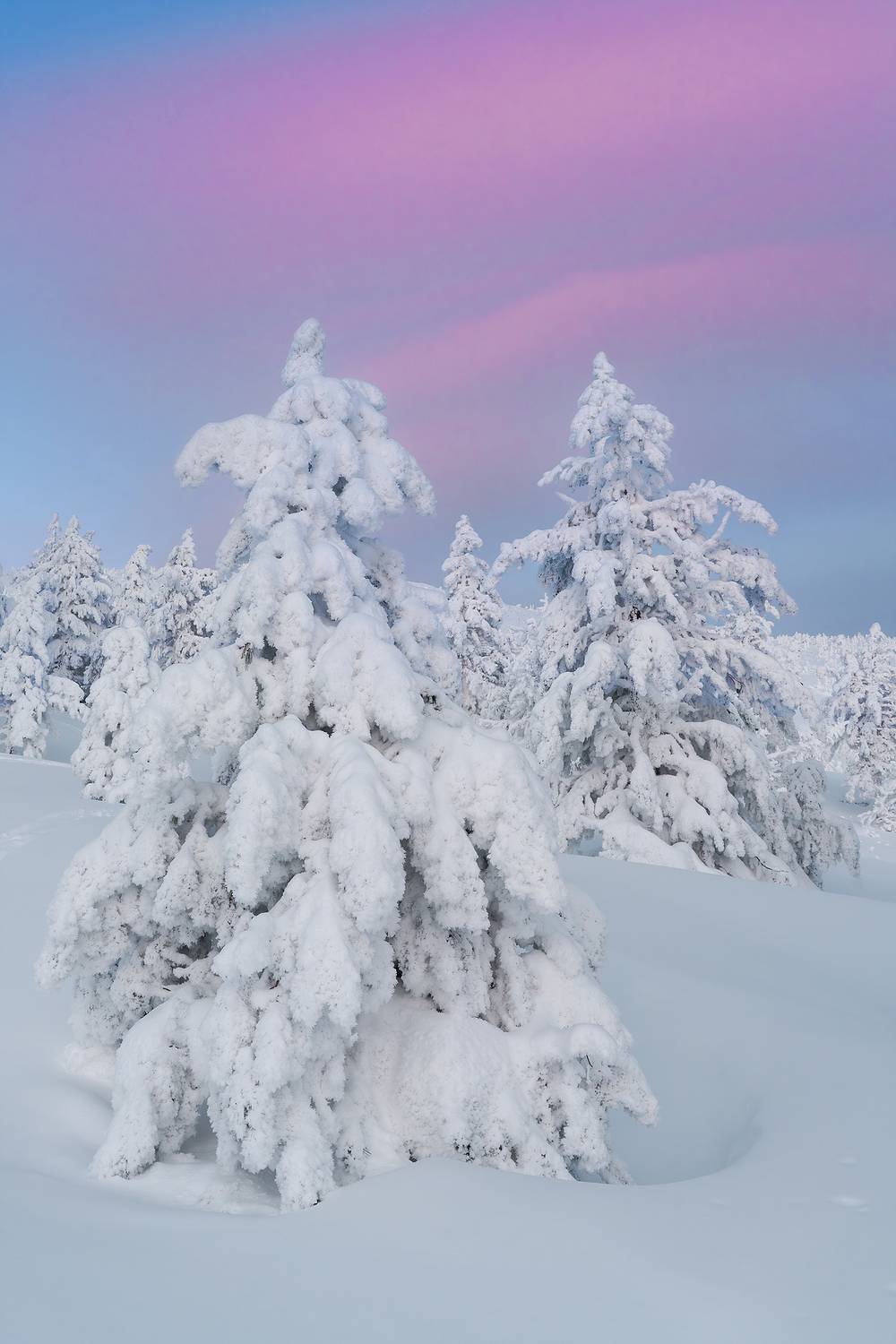 аргыджек, снег, зима, красиво, холод, мороз, деревья, иней, красноярск, Александр Нерозя