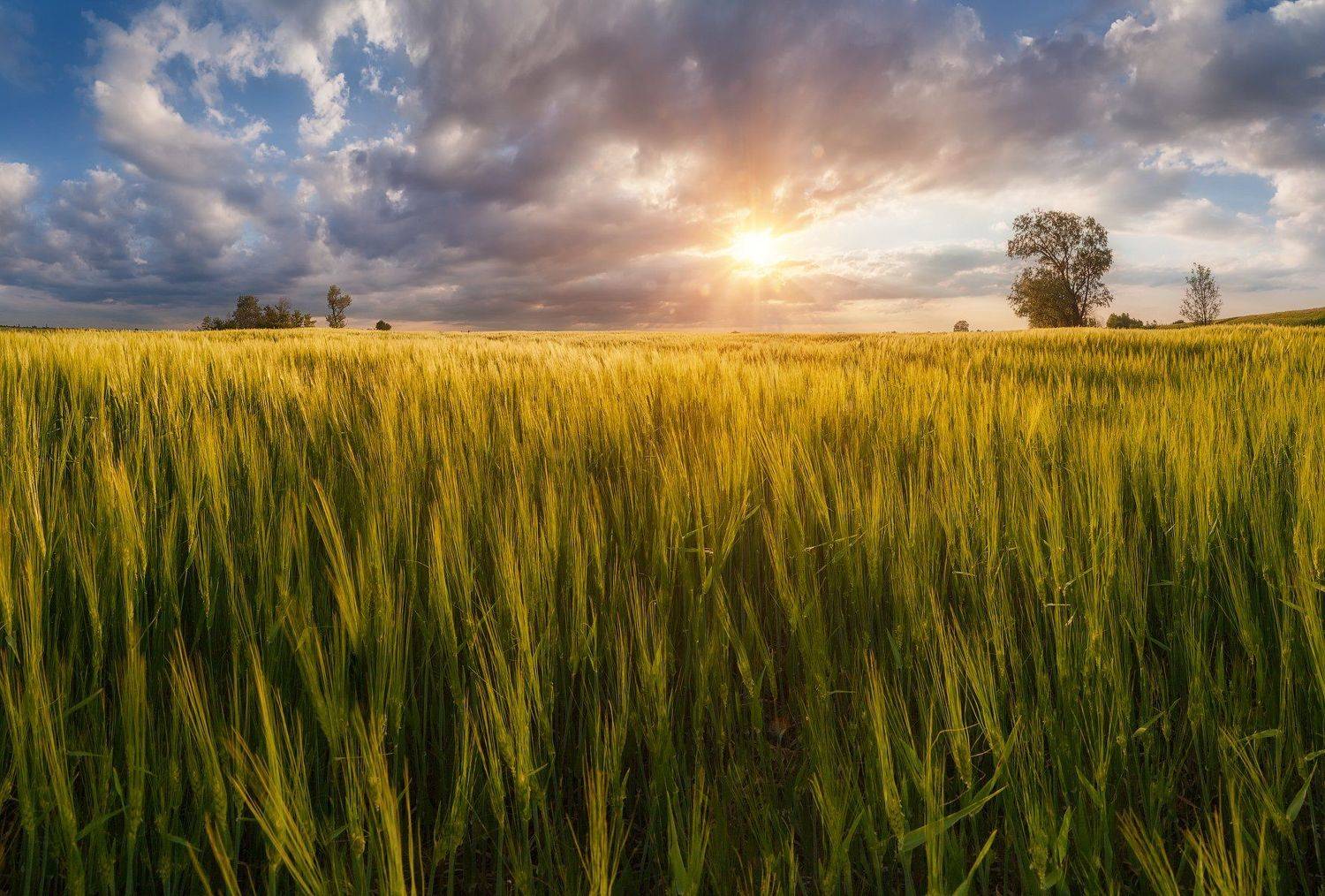 адыгея, Сергей Сутковой